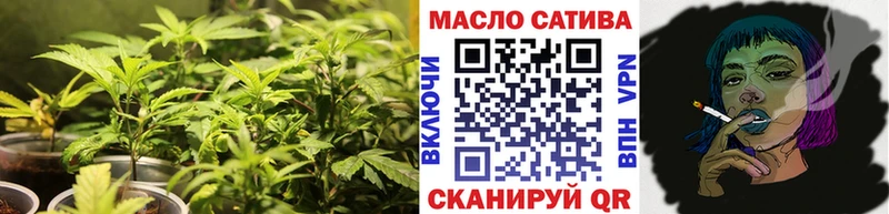 где найти наркотики  Гдов  MEGA ссылки  ТГК вейп с тгк 